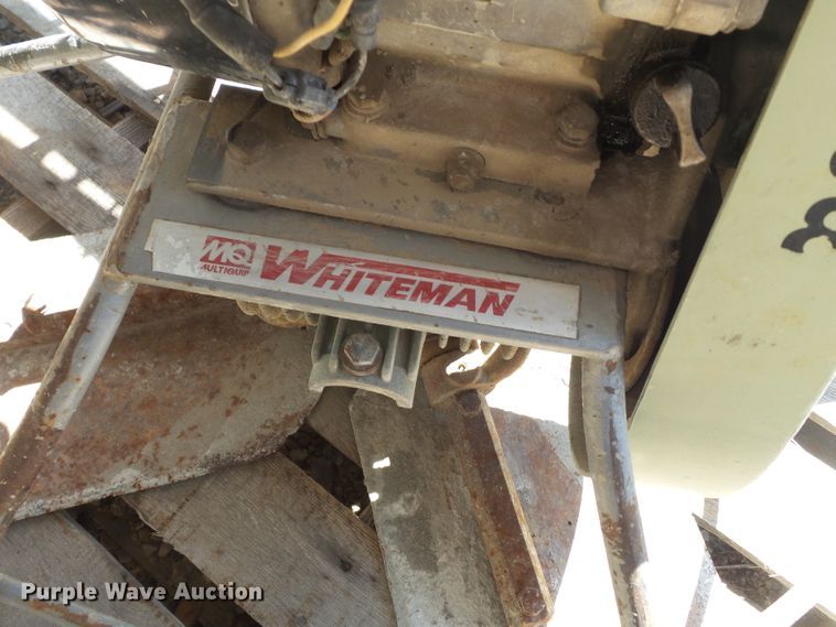 image for item DH7861 Whiteman power trowel