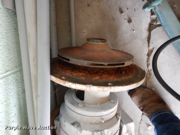 image for item GE9229 (4) Paco pumps