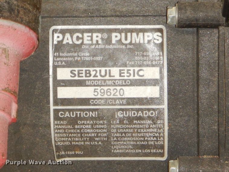 image for item GG9684 Pacer SEB2UL E5IC pump