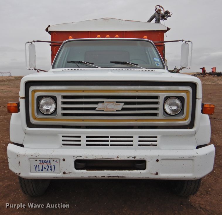 image for item DI0040 1976 Chevrolet C60 grain truck