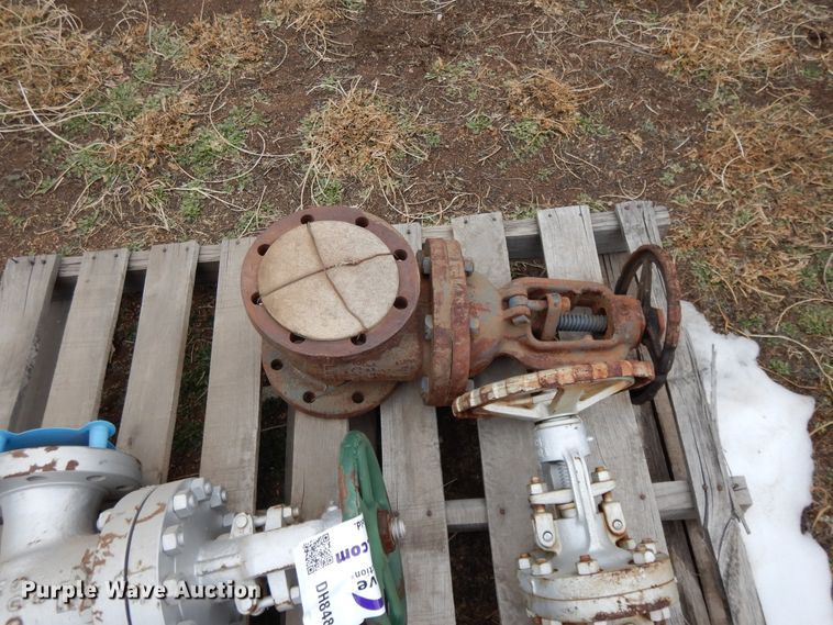 image for item DH8484 Valves