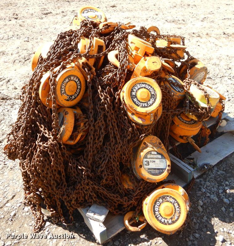 image for item GM9476 (25) Harrington hoists