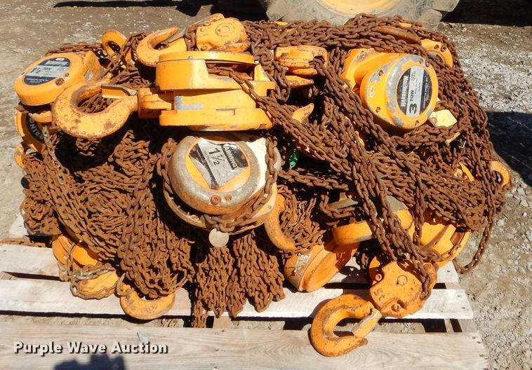 image for item GM9476 (25) Harrington hoists