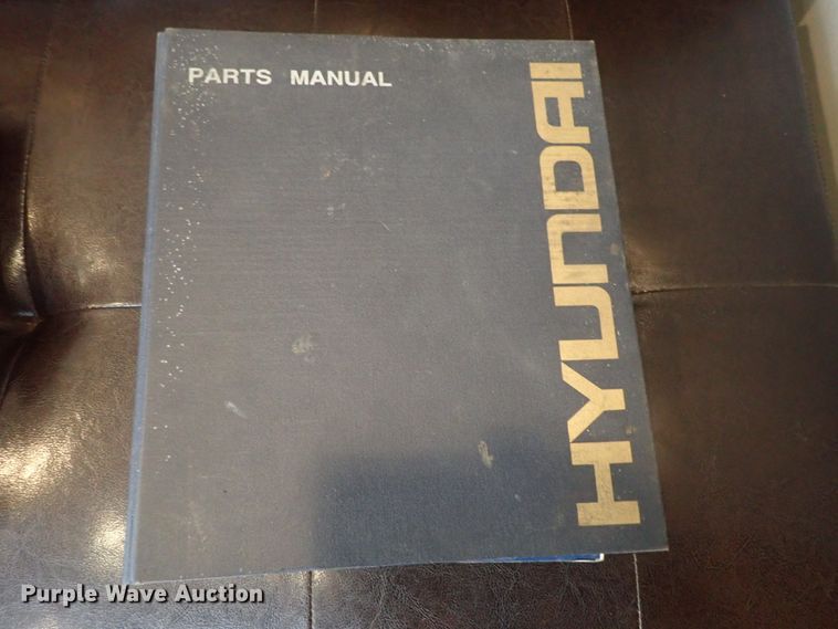 image for item DG3011 1999 Hyundai Robex 250LC-3 excavator