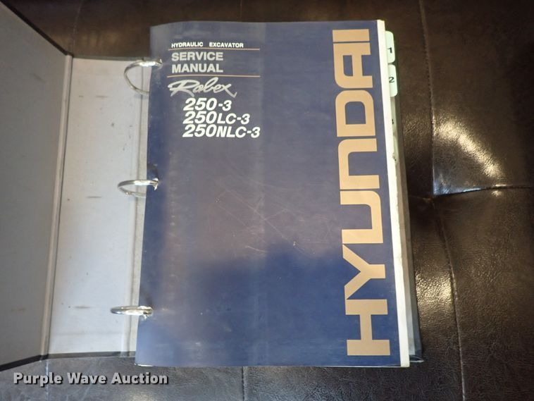 image for item DG3011 1999 Hyundai Robex 250LC-3 excavator