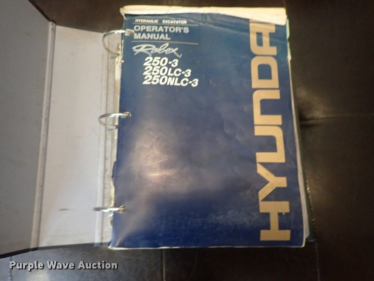 image for item DG3011 1999 Hyundai Robex 250LC-3 excavator