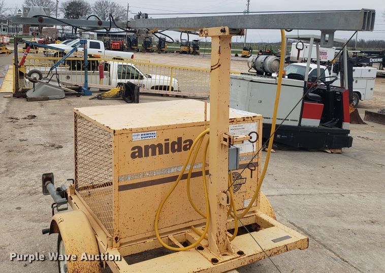 image for item DH5818 Amida light plant