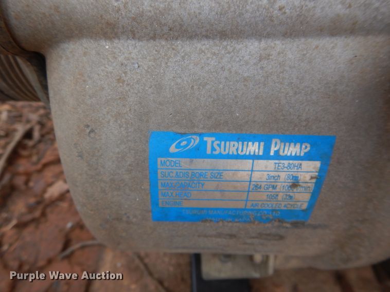image for item GE9064 (3) Tsurumi pumps