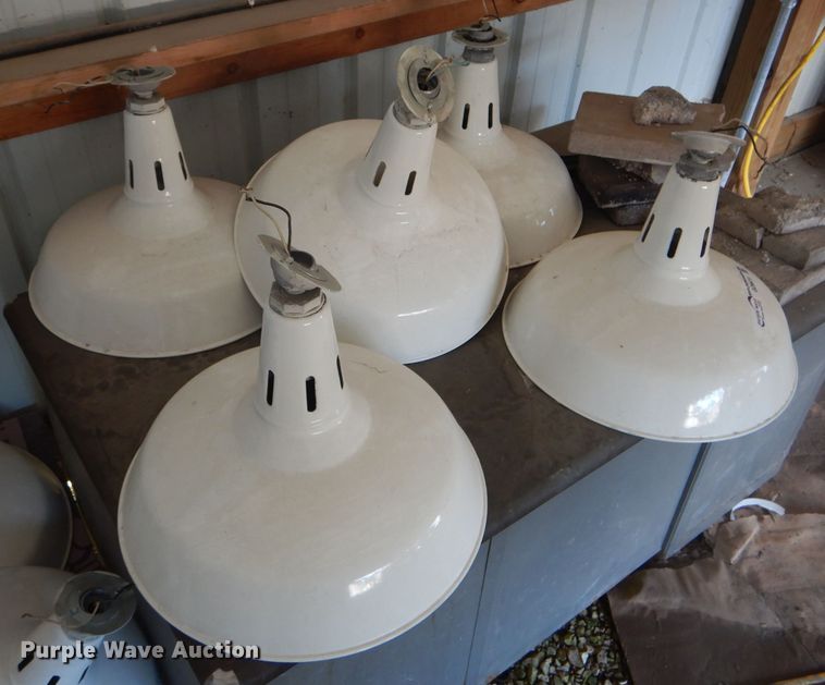 image for item GO9638 (12) lights