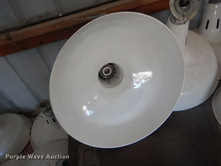 image for item GO9638 (12) lights