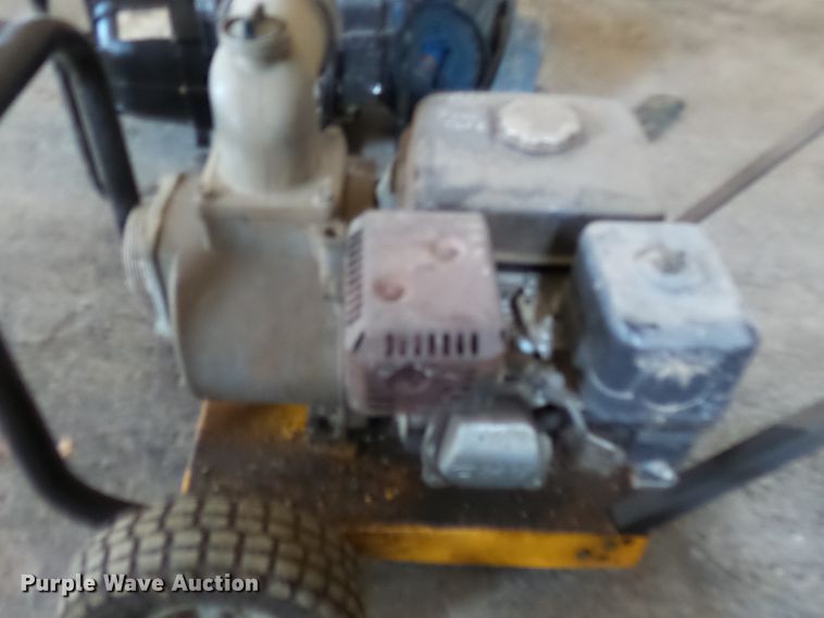 image for item DH7956 (3) trash pumps