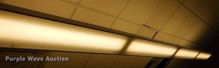 image for item GH9787 (23) Peerless T8 ceiling lights