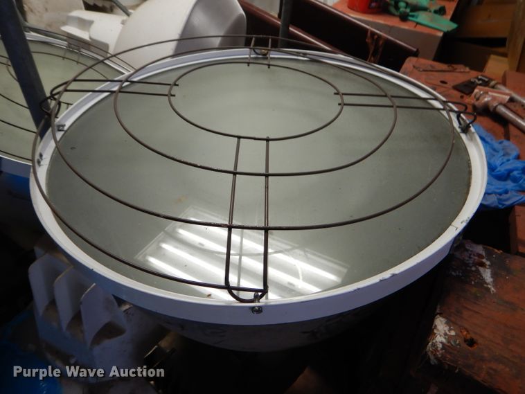 image for item GN9368 Approximately 80 lights