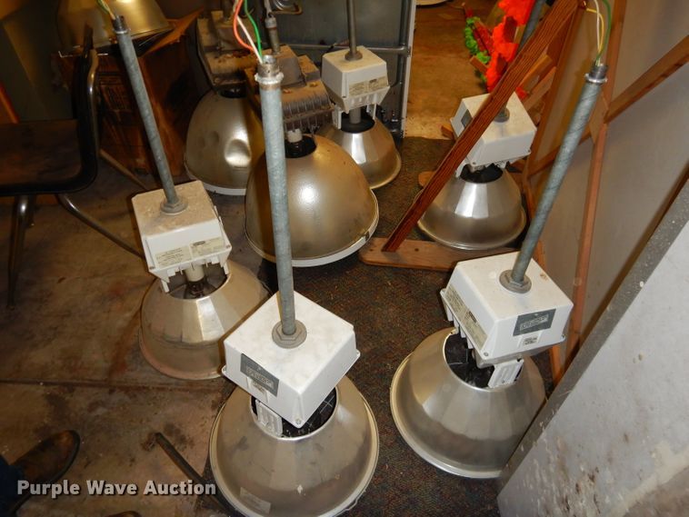 image for item GN9368 Approximately 80 lights