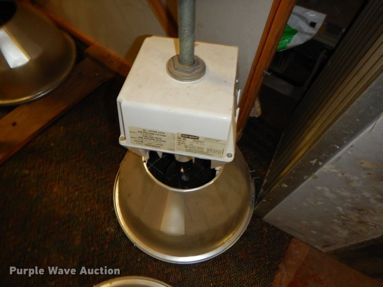 image for item GN9368 Approximately 80 lights