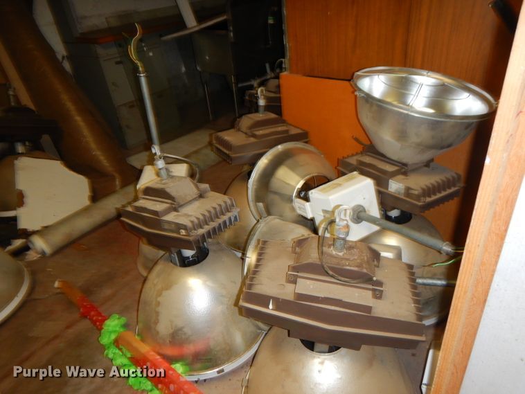 image for item GN9368 Approximately 80 lights