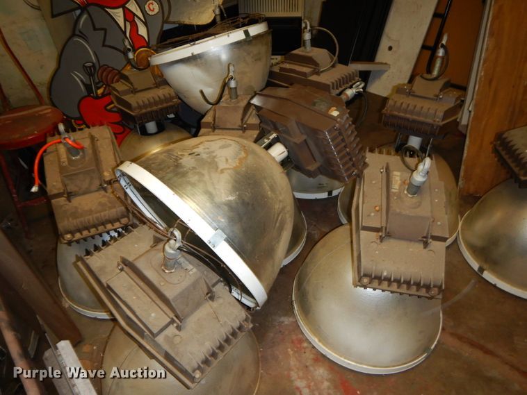 image for item GN9368 Approximately 80 lights