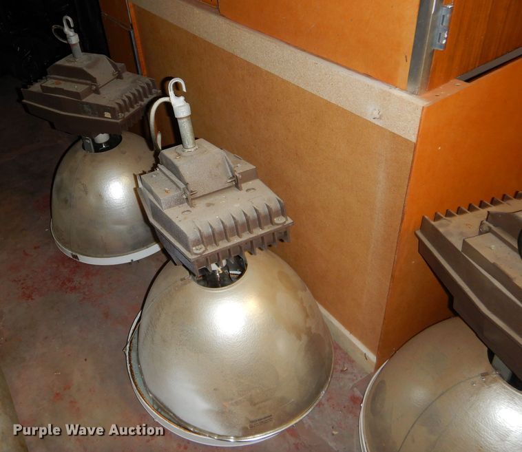 image for item GN9368 Approximately 80 lights