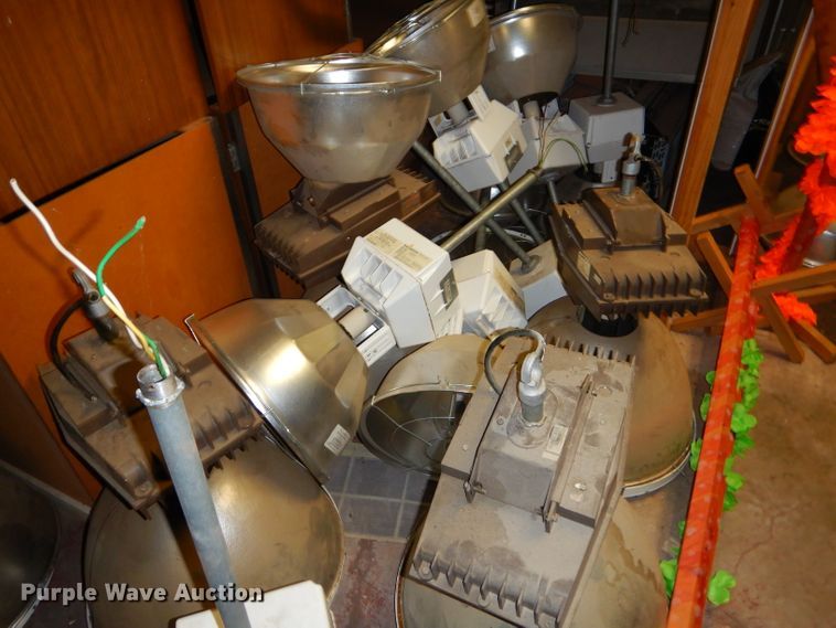 image for item GN9368 Approximately 80 lights