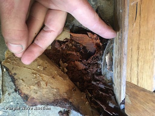 image for item DH3727 2006 Platinum horse trailer