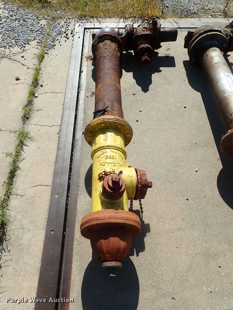 image for item DG2264 (7) fire hydrants