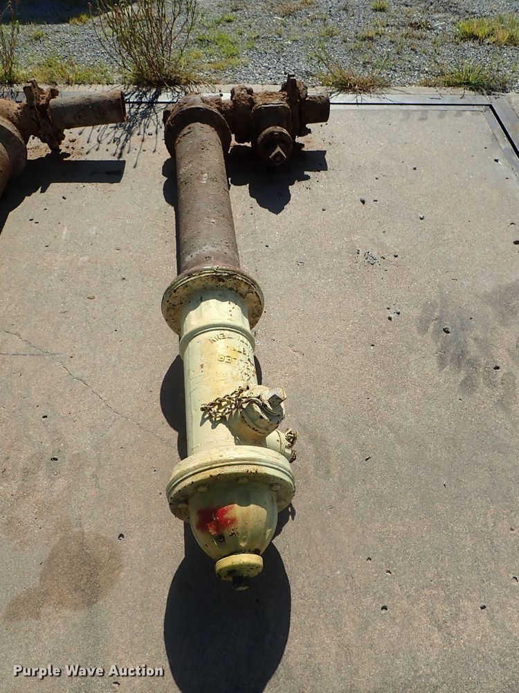 image for item DG2264 (7) fire hydrants