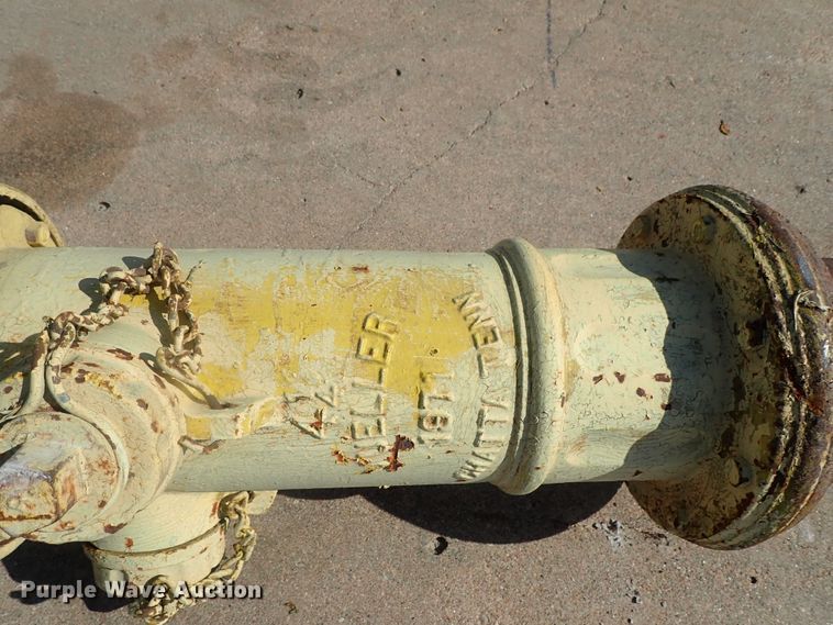 image for item DG2264 (7) fire hydrants