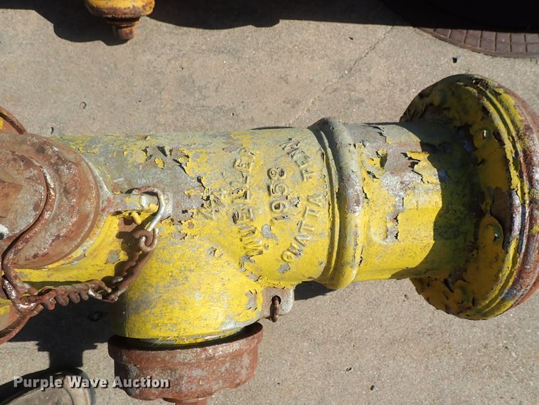 image for item DG2264 (7) fire hydrants
