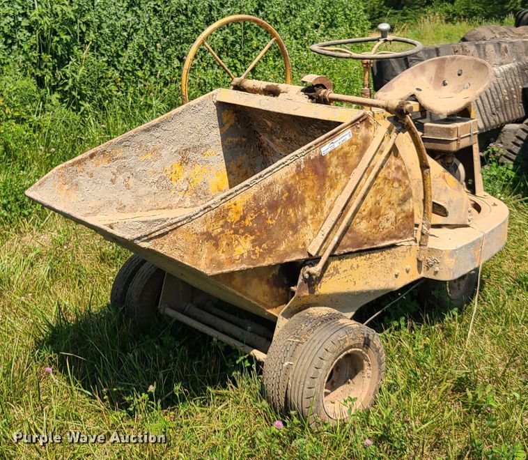 image for item EL9863 Geogia buggy