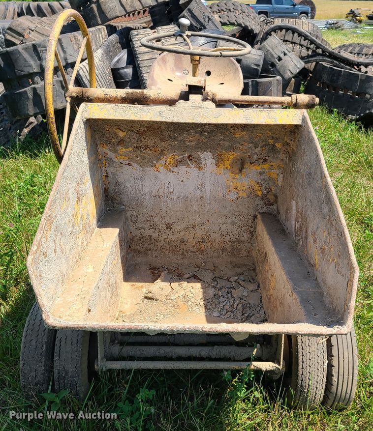 image for item EL9863 Geogia buggy