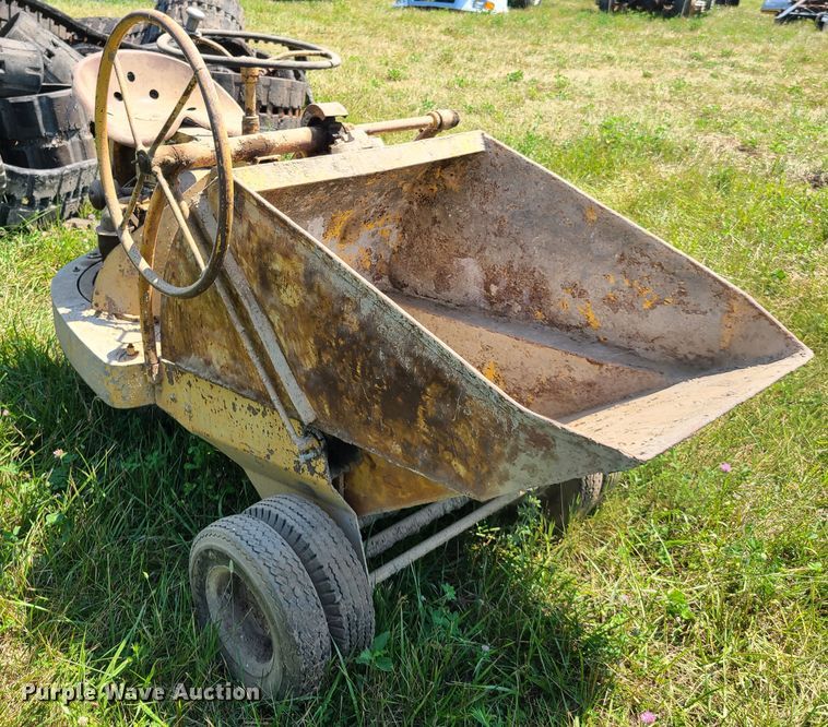 image for item EL9863 Geogia buggy