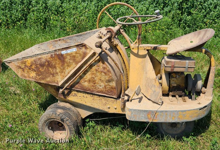 image for item EL9863 Geogia buggy