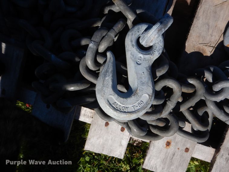 image for item GA9119 Hoist