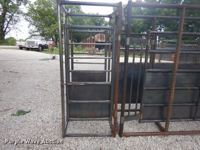 image for item HG9085 Livestock alley with tub