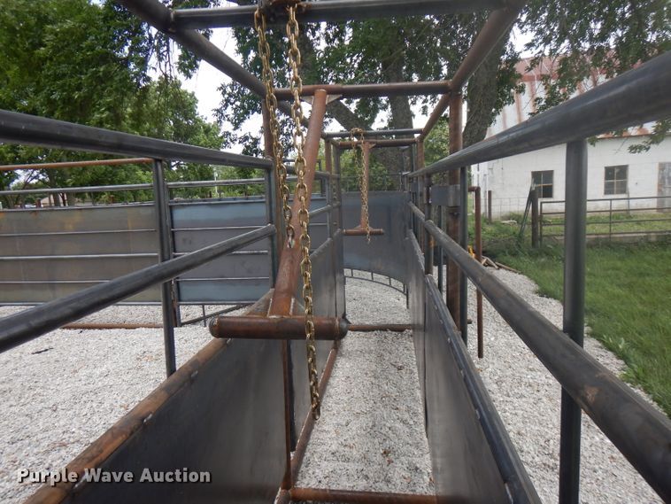 image for item HG9085 Livestock alley with tub