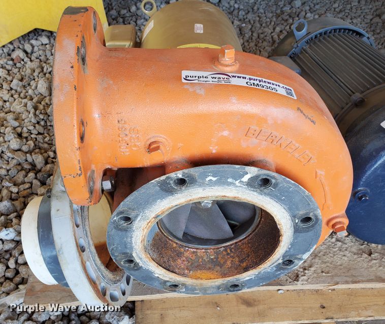 image for item GM9305 Berkeley B6ZPLS pump