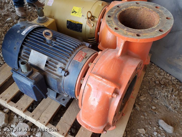 image for item GM9308 Berkeley pump