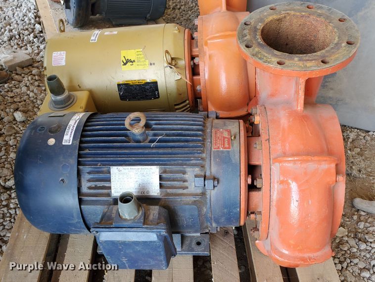 image for item GM9308 Berkeley pump