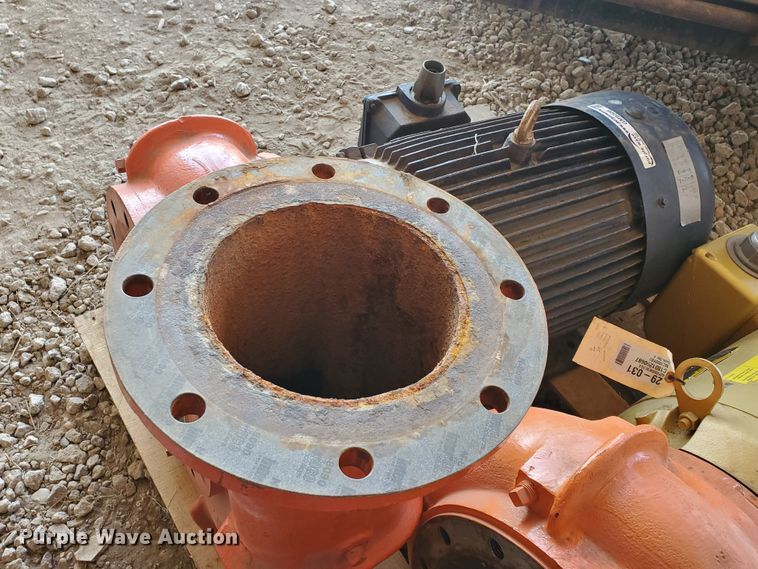 image for item GM9308 Berkeley pump