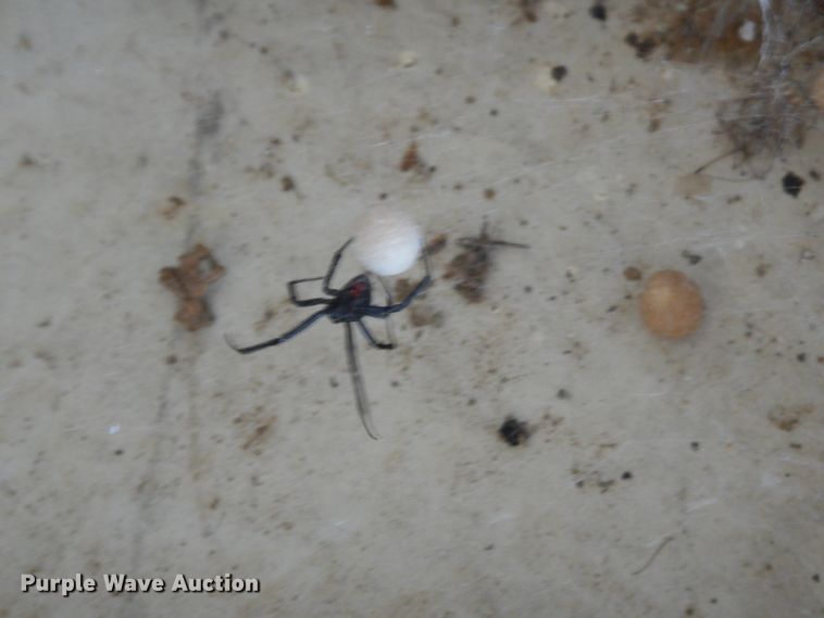 image for item HC9735 (2) 595/85R20 tires