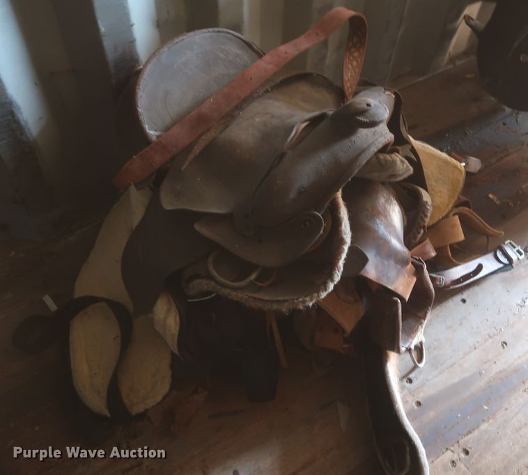 image for item HT9509 (3) equestrian horse saddles