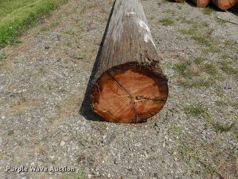 image for item HV9487 (11) wood poles