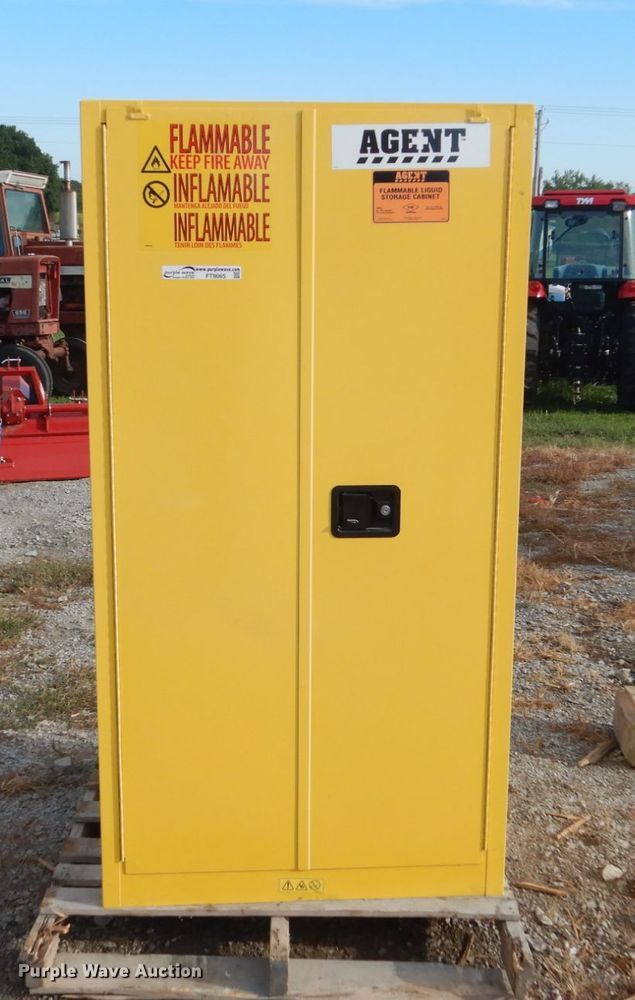 image for item FT9065 Safety cabinet