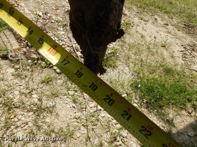 image for item DG6954 Buckeye  bucket wheel trencher