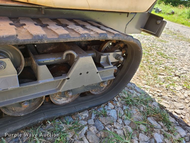 image for item EL9986 Canycom Georgia power buggy