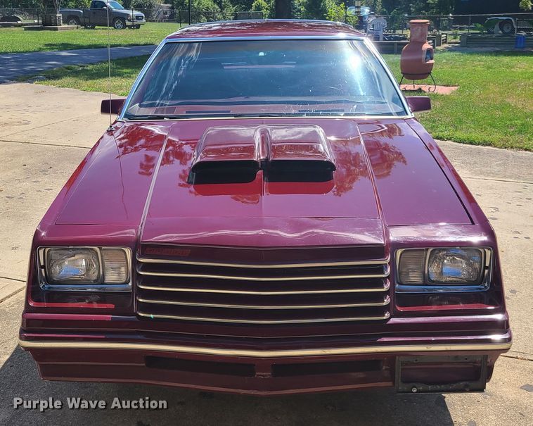image for item EL9999 1980 Dodge Magnum