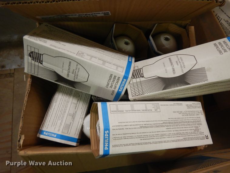 image for item HV9755 Approximately 31 light bulbs