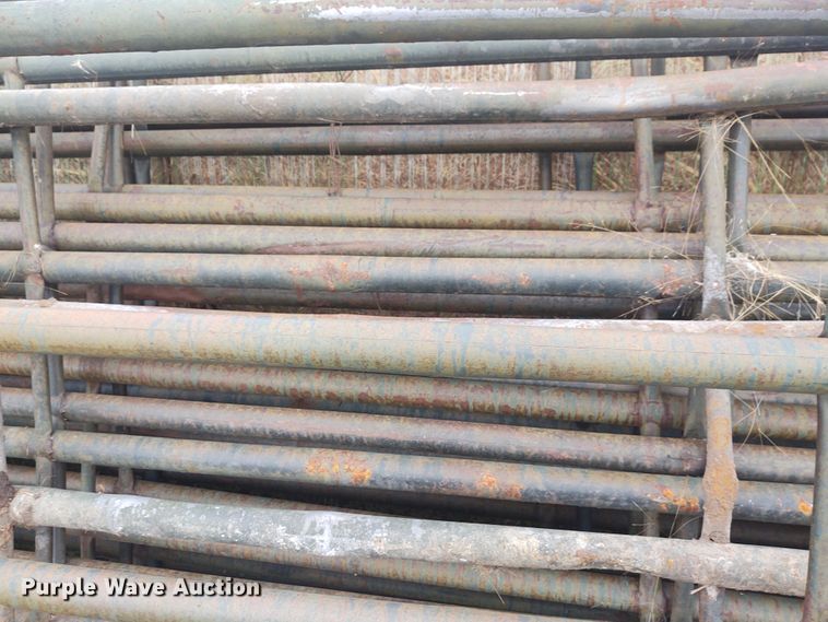image for item EQ9424 (9) cattle panels