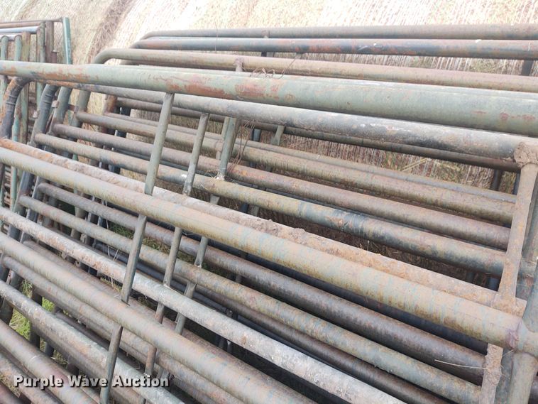 image for item EQ9424 (9) cattle panels