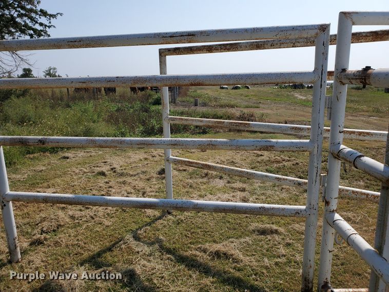 image for item HO9561 Horse veterinary stall
